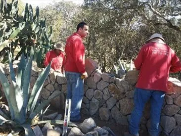 Custom yard cleanup service near you across Sonoma, CA - Eternal Landscape Solutions