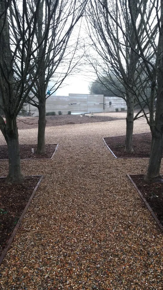 Reliable lawn care service for beautiful yards across Sonoma, CA - Eternal Landscape Solutions