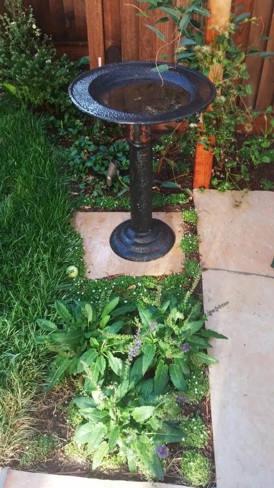 Expert lawn mowing service for homes in Sonoma, CA by Eternal Landscape Solutions