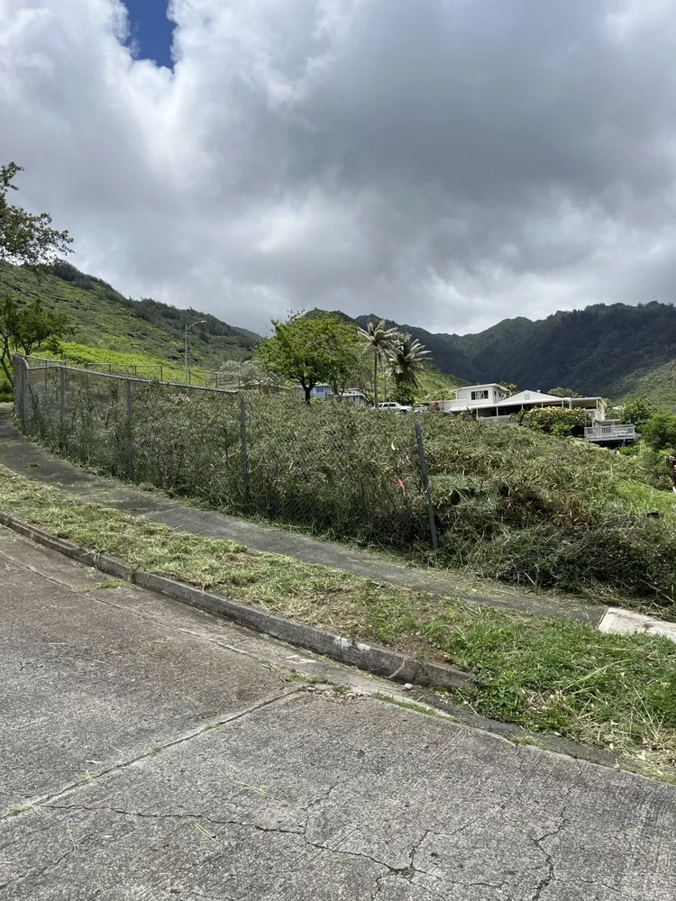 Local landscape design in Honolulu, HI by Eternal Landscaping And Yard Maintenance