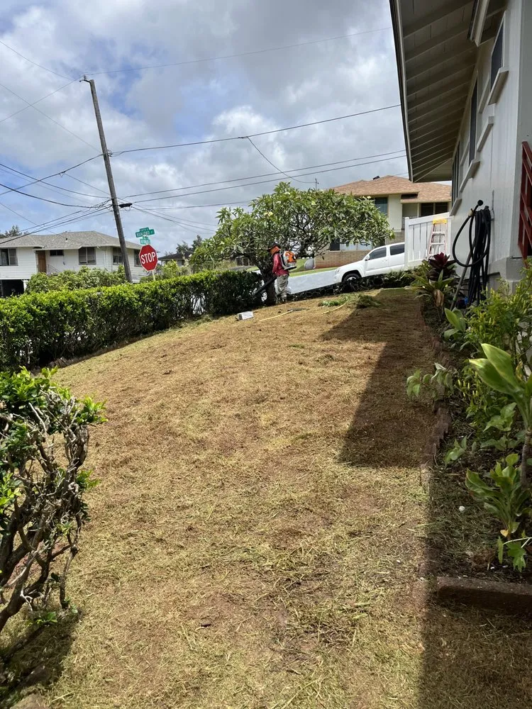 Reliable garden landscaping experts serving Honolulu, HI - Eternal Landscaping And Yard Maintenance