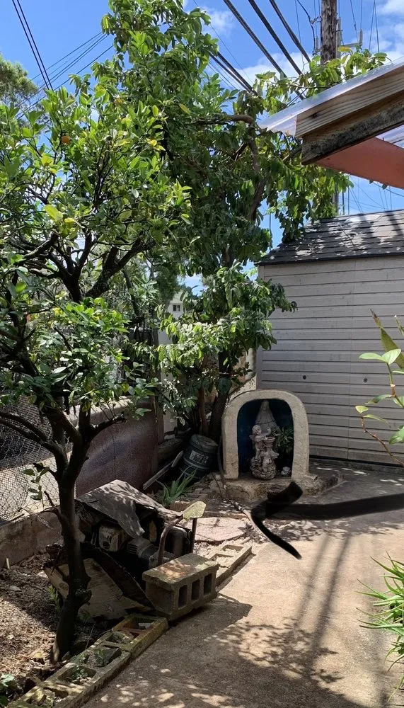 Custom lawn care service experts serving Honolulu, HI - Eternal Landscaping And Yard Maintenance