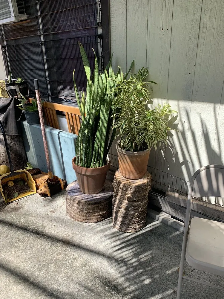 Local landscaping services experts serving Honolulu, HI - Eternal Landscaping And Yard Maintenance