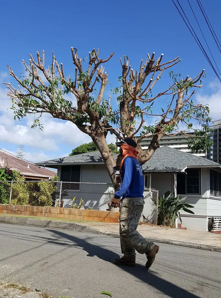 Local landscape installation with custom design across Honolulu, HI - Eternal Landscaping And Yard Maintenance