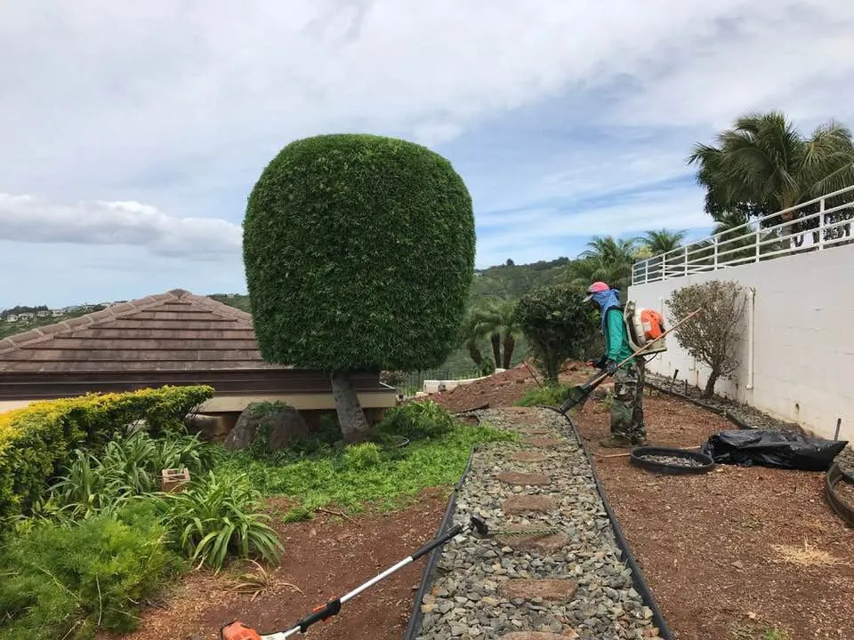 Reliable residential landscaping experts serving Honolulu, HI - Eternal Landscaping And Yard Maintenance