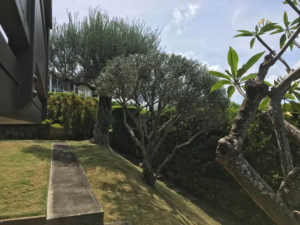 Custom residential landscaping experts serving Honolulu, HI - Eternal Landscaping And Yard Maintenance