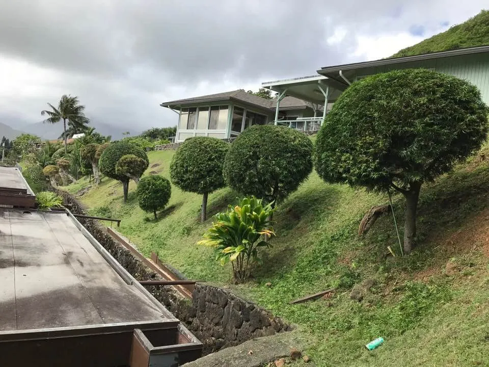 Local yard maintenance experts serving Honolulu, HI - Eternal Landscaping And Yard Maintenance