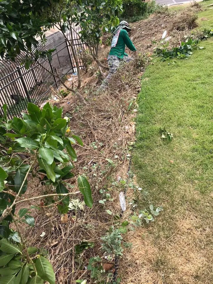 Expert landscaping services for outdoor upgrades across Honolulu, HI - Eternal Landscaping And Yard Maintenance