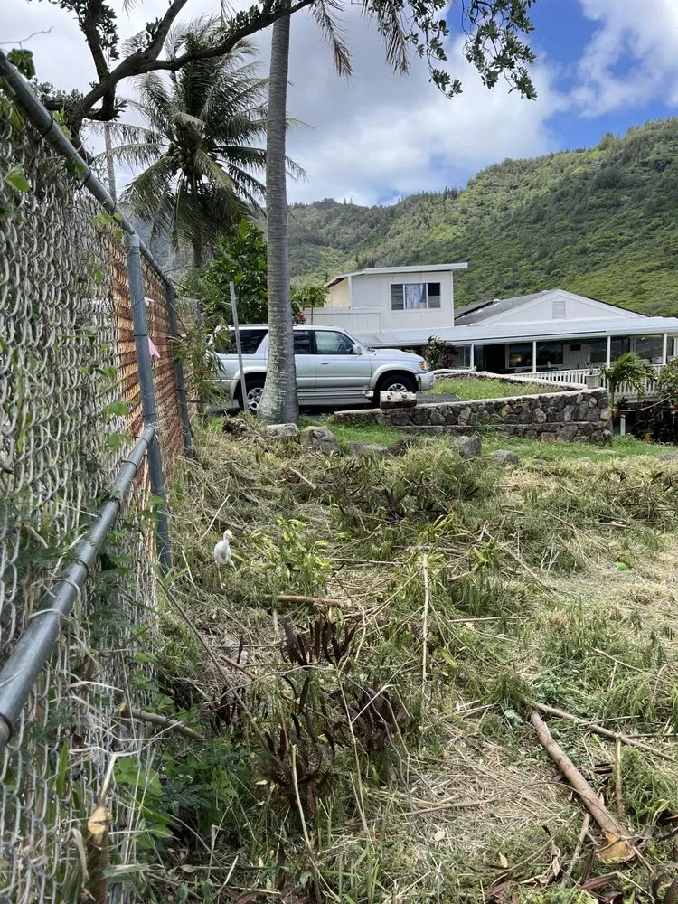 Top-rated yard cleanup service near you in Honolulu, HI by Eternal Landscaping And Yard Maintenance