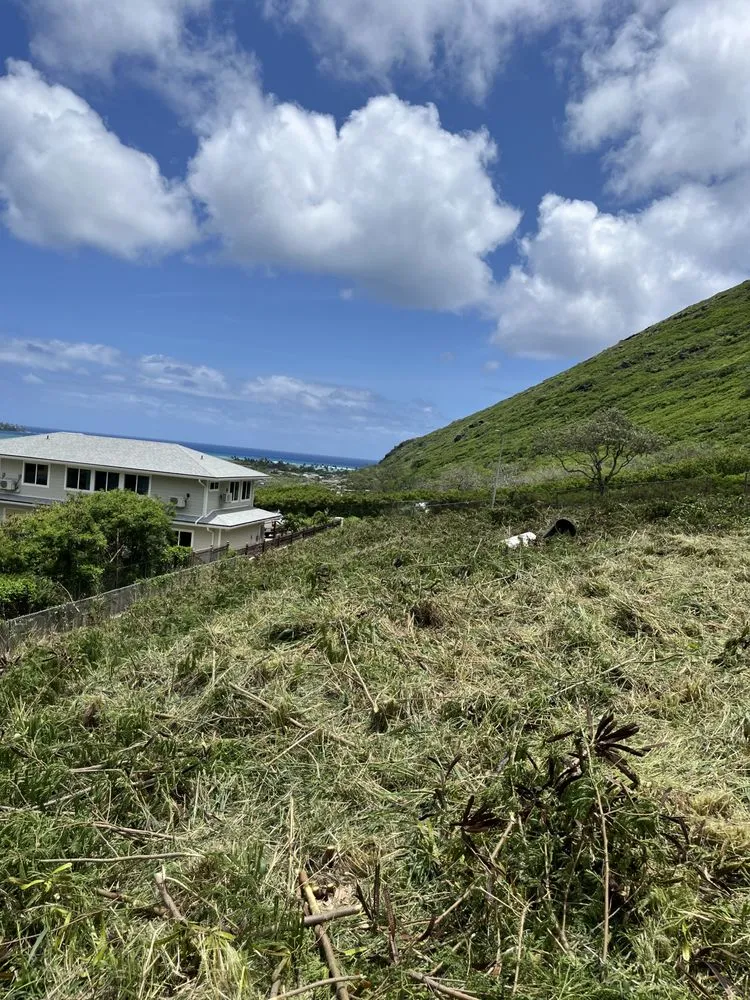 Trusted outdoor landscaping in Honolulu, HI - Eternal Landscaping And Yard Maintenance