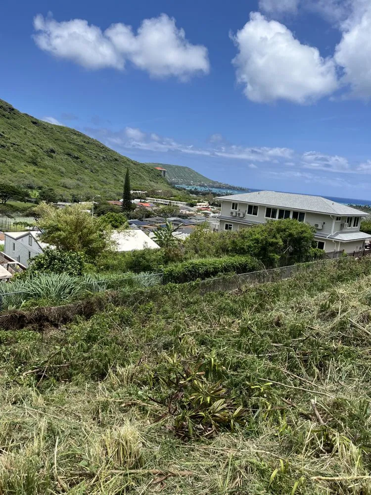 Trusted landscaping services near you in Honolulu, HI by Eternal Landscaping And Yard Maintenance