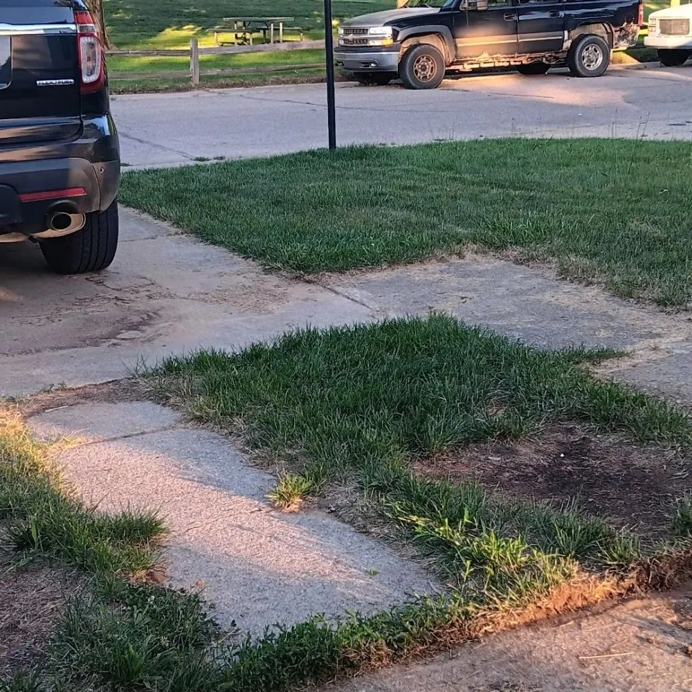 Affordable yard cleanup service in Brighton, MI by Eternal Lawn