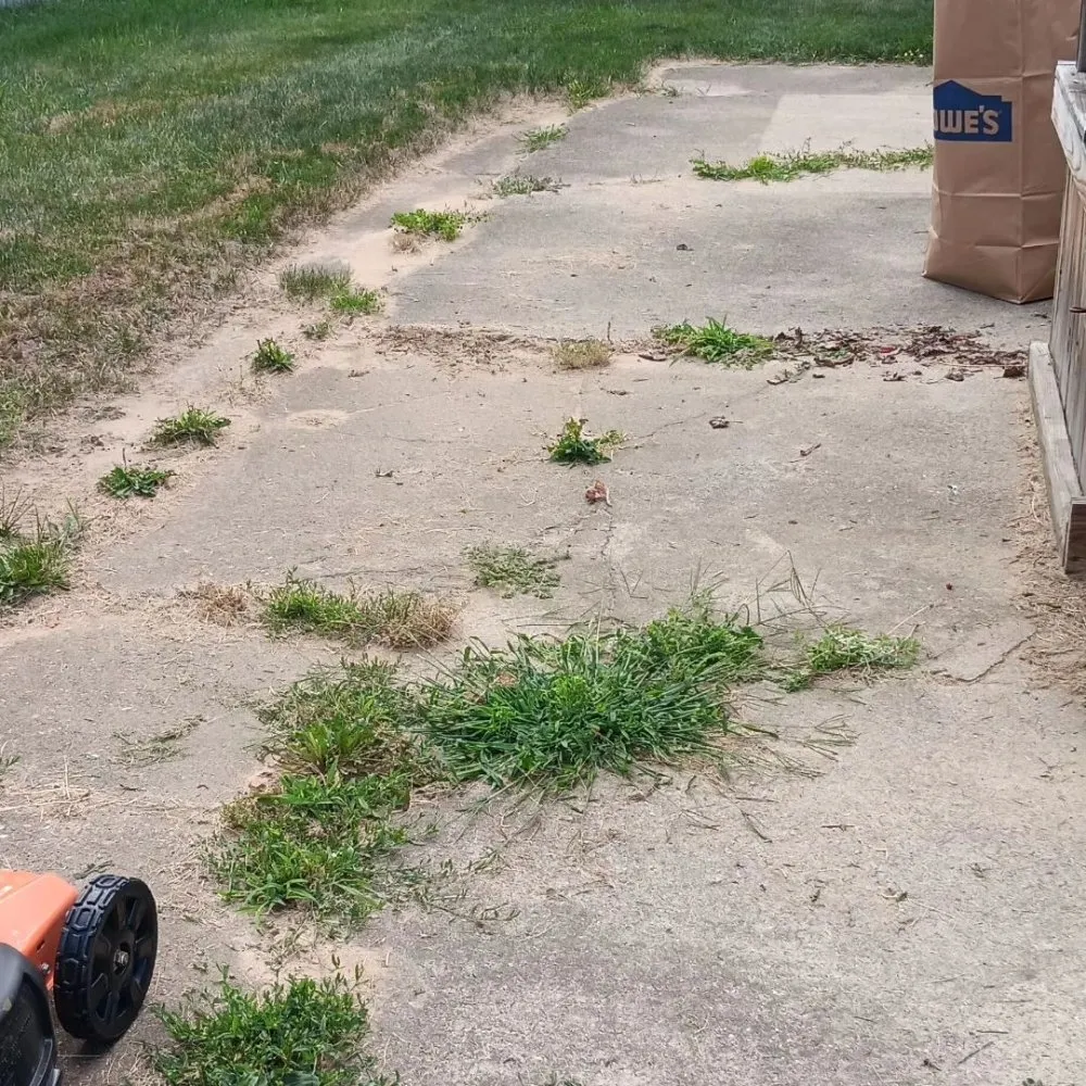 Trusted yard cleanup service in Brighton, MI by Eternal Lawn