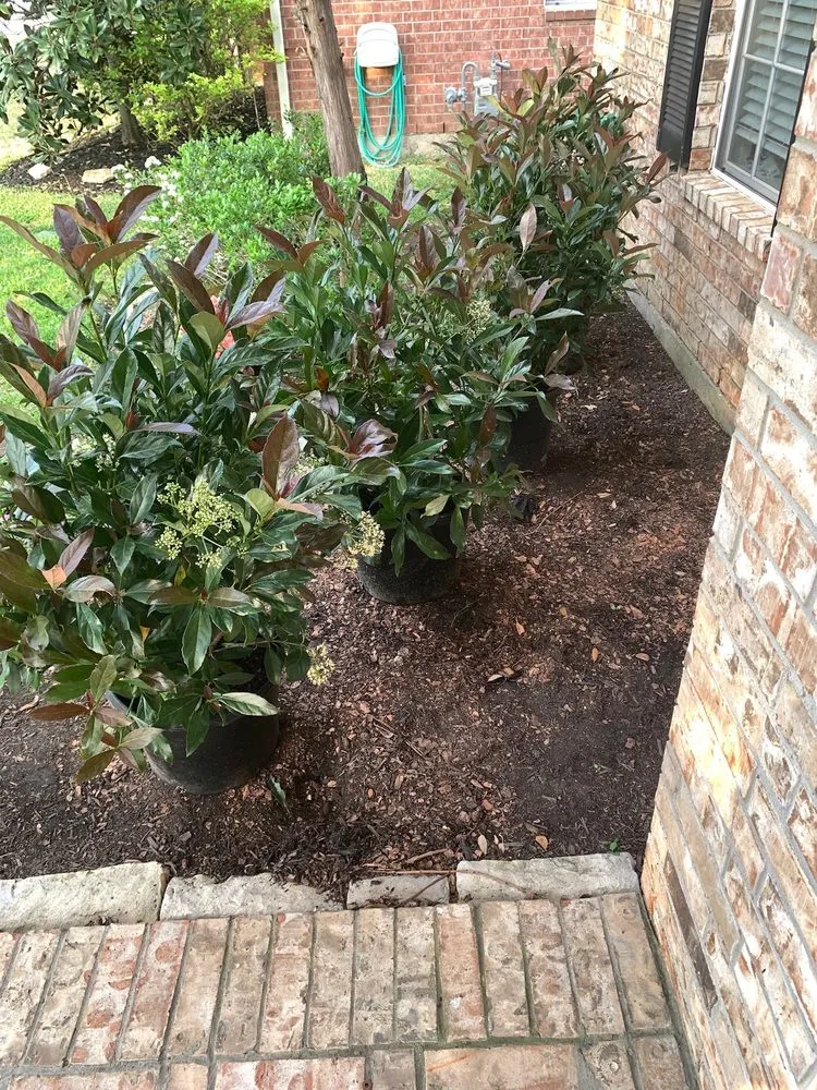 Professional yard cleanup service for homes across Tomball, TX - Eternal Spring Nursery