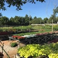 Local landscape installation for year-round maintenance across Tomball, TX - Eternal Spring Nursery