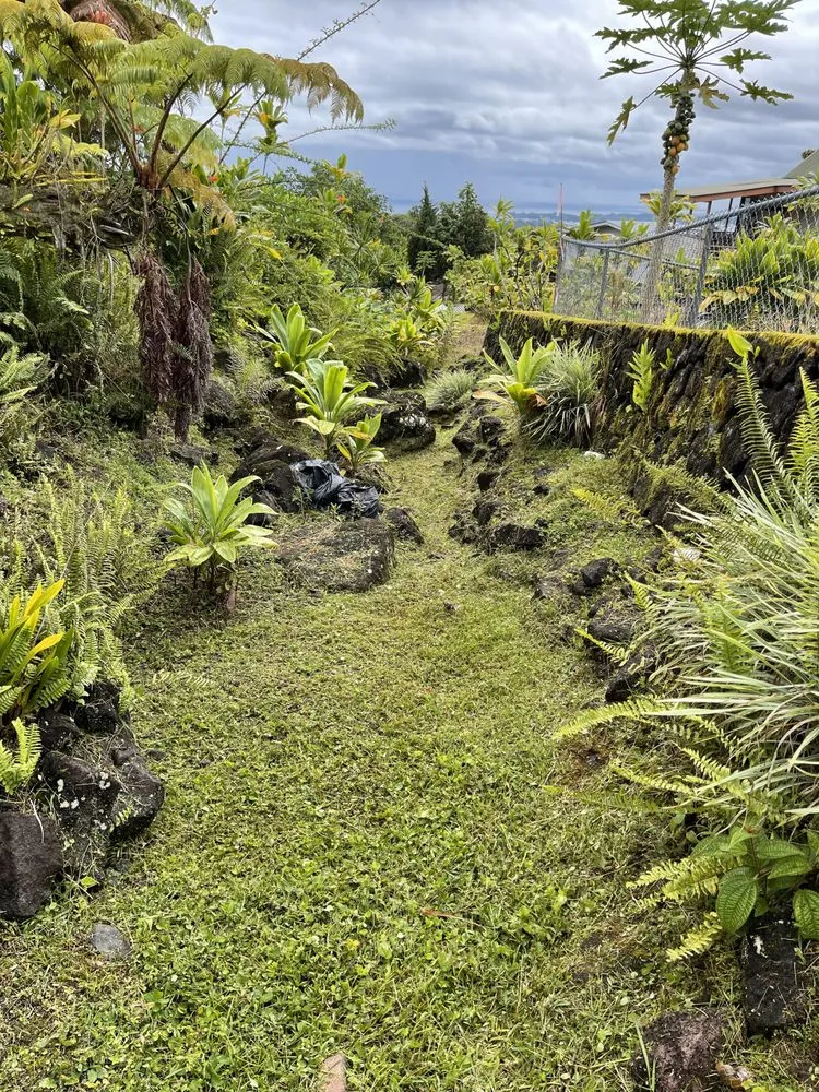Professional landscape design in Keaau, HI - Eternal Yard Works