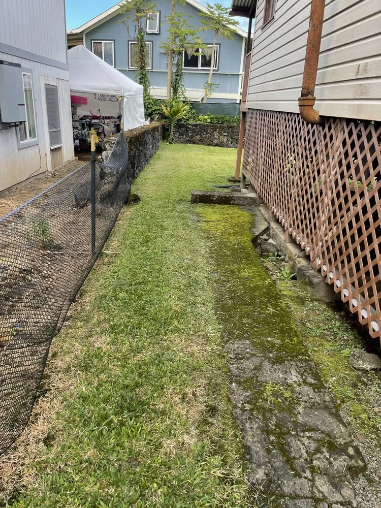 Professional yard cleanup service experts serving Keaau, HI - Eternal Yard Works