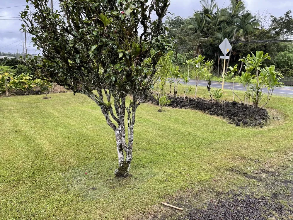 Top-rated residential landscaping in Keaau, HI - Eternal Yard Works