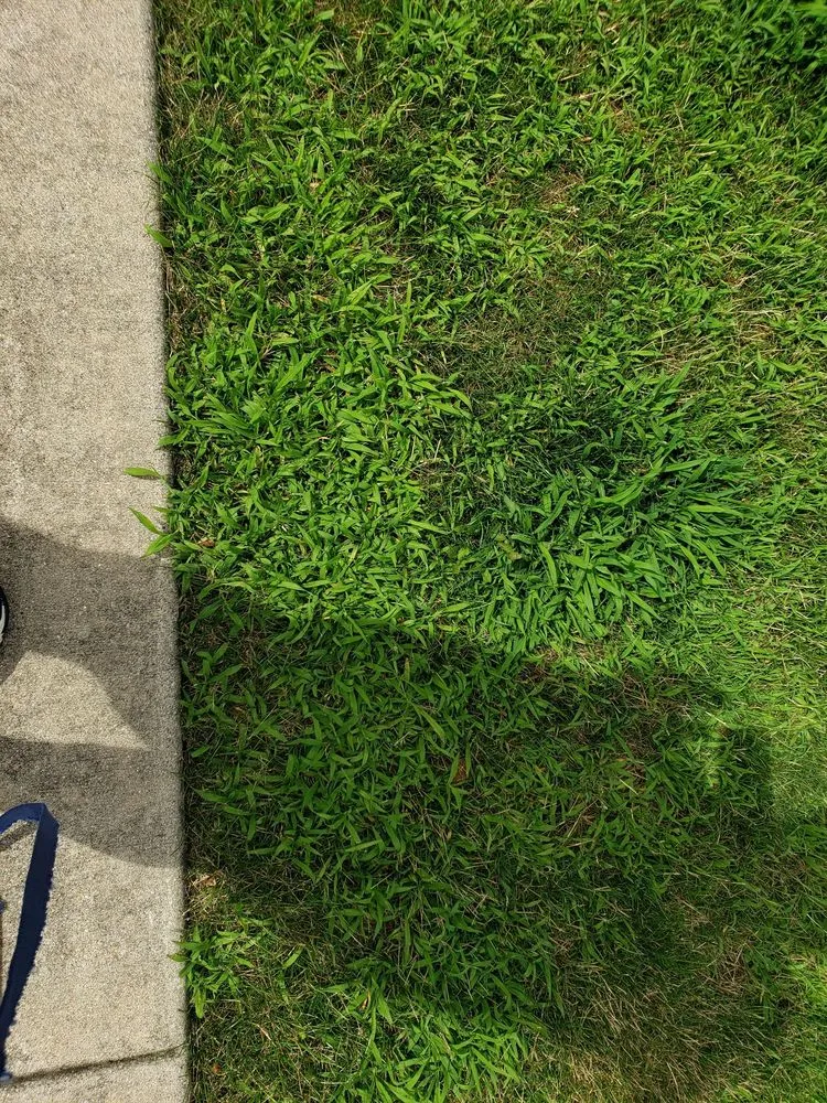 Custom outdoor landscaping in Frankfort, IL - Eternally Green Lawn Care