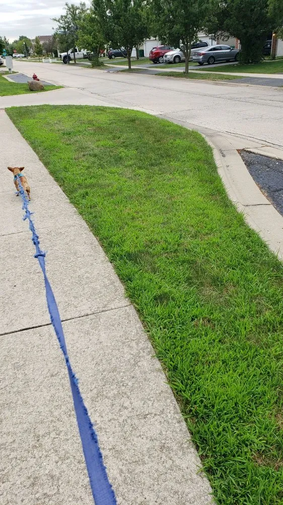 Reliable yard maintenance for year-round maintenance across Frankfort, IL - Eternally Green Lawn Care