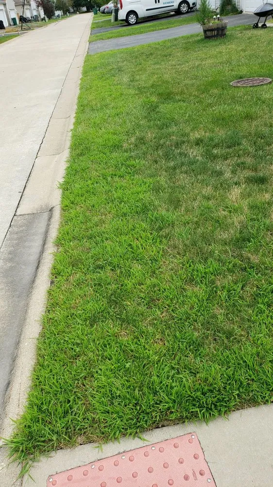Local yard cleanup service experts serving Frankfort, IL - Eternally Green Lawn Care