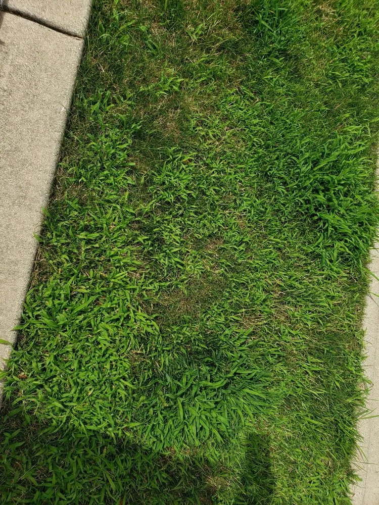 Reliable garden landscaping for year-round maintenance in Frankfort, IL by Eternally Green Lawn Care