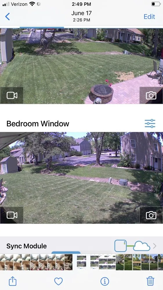 Reliable lawn care service in Frankfort, IL - Eternally Green Lawn Care