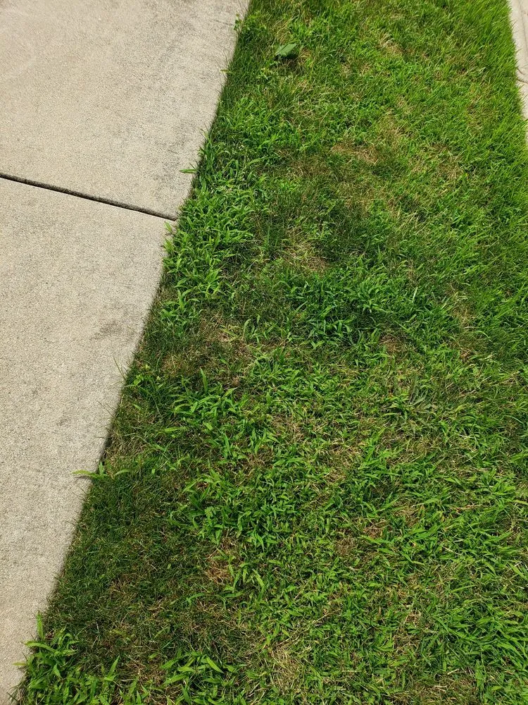Local garden landscaping for residential properties in Frankfort, IL by Eternally Green Lawn Care
