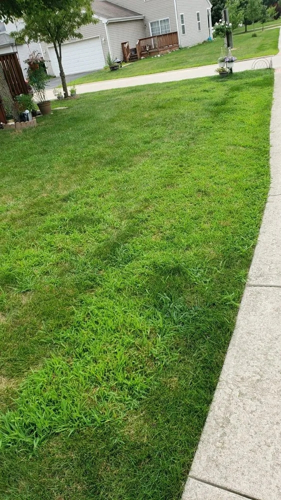 Expert lawn mowing service for residential properties across Frankfort, IL - Eternally Green Lawn Care