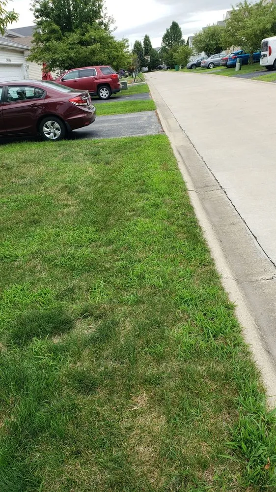 Expert landscaping services experts serving Frankfort, IL - Eternally Green Lawn Care