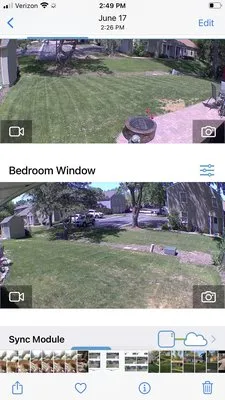 Eternally Green Lawn Care Logo