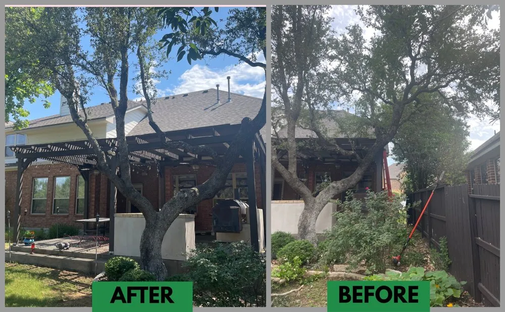 Trusted landscape design in Live Oak, TX - Eternity Lawn and Landscaping