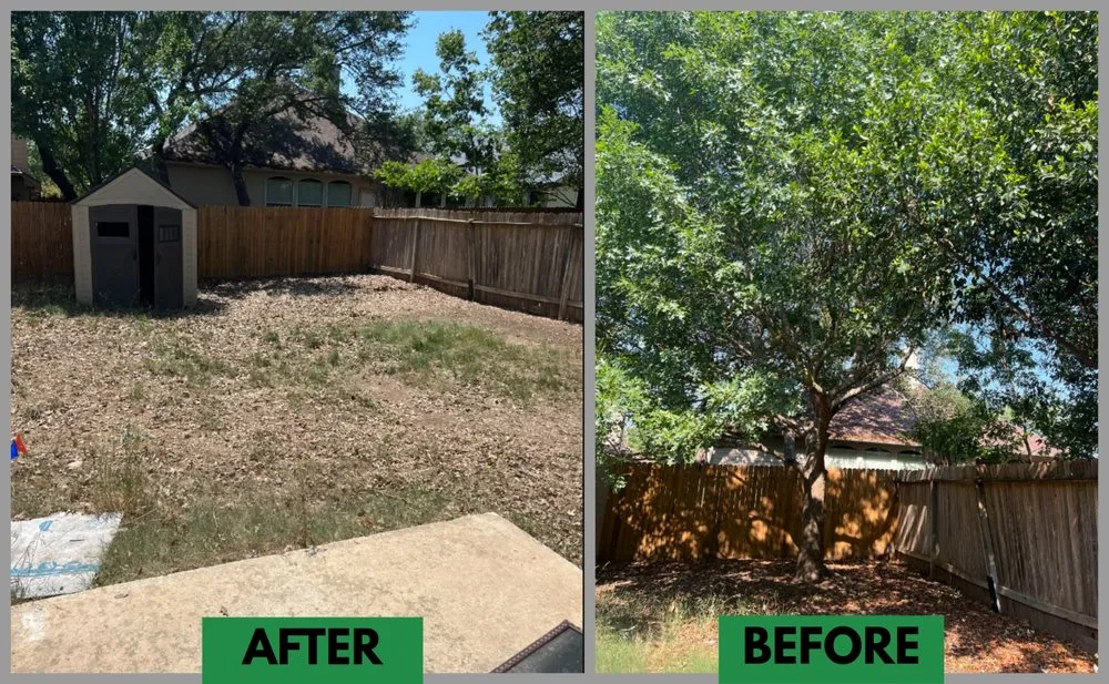 Professional yard cleanup service for residential properties across Live Oak, TX - Eternity Lawn and Landscaping
