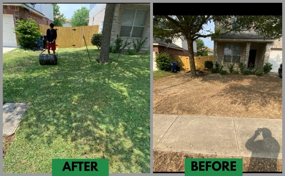 Top-rated yard cleanup service in Live Oak, TX - Eternity Lawn and Landscaping