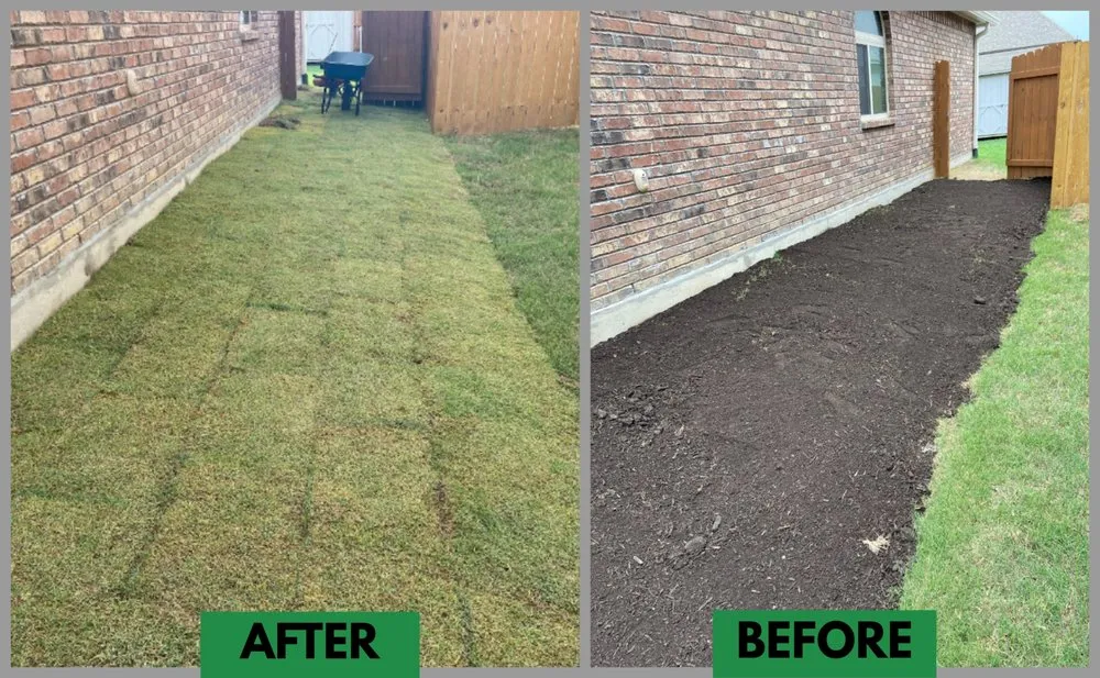 Trusted landscape design for beautiful yards across Live Oak, TX - Eternity Lawn and Landscaping