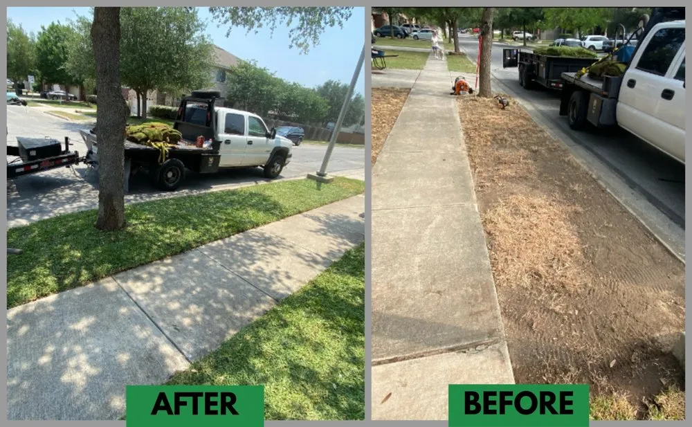 Top-rated garden landscaping in Live Oak, TX - Eternity Lawn and Landscaping