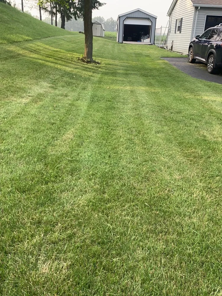 Affordable lawn care service experts serving Horseheads, NY - Ethain And Rileys Lawn Care