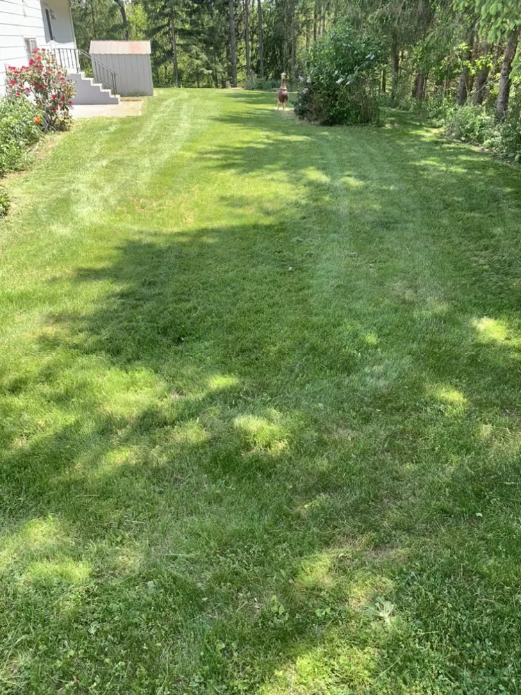 Expert garden landscaping in Horseheads, NY - Ethain And Rileys Lawn Care