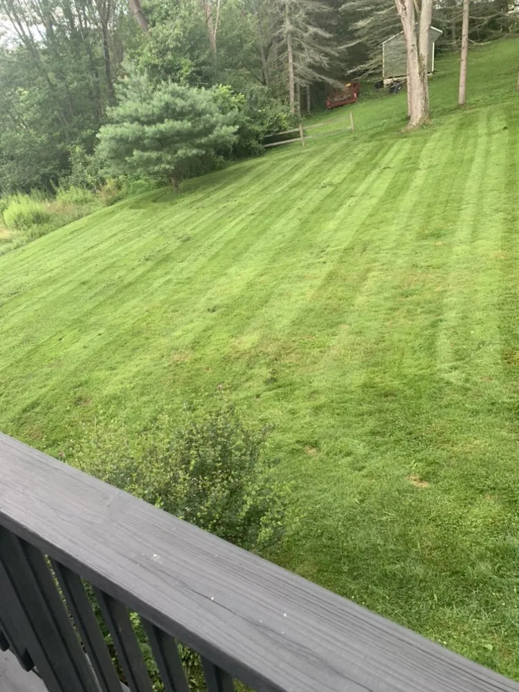 Trusted yard maintenance with custom design across Horseheads, NY - Ethain And Rileys Lawn Care