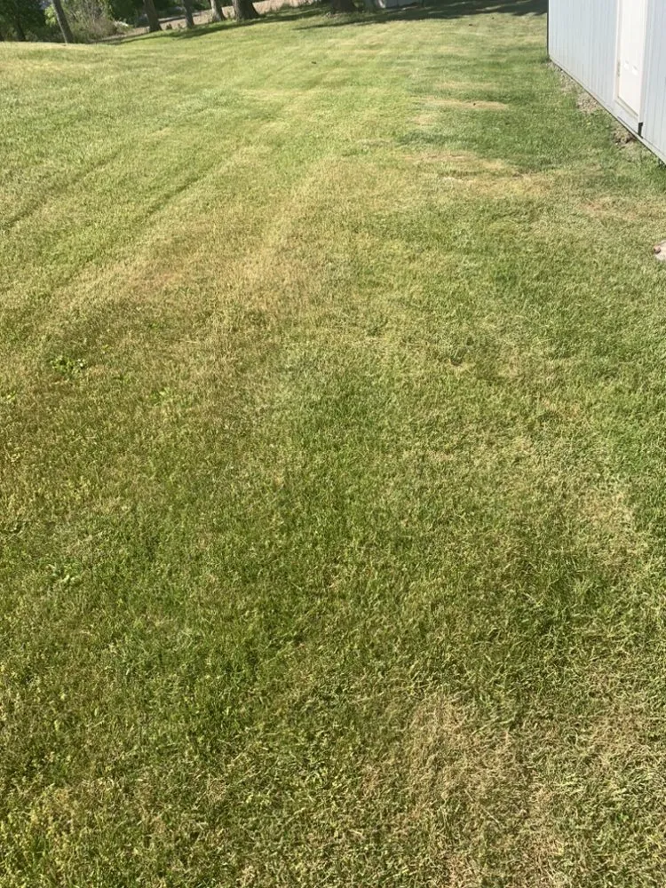 Reliable lawn mowing service in Horseheads, NY - Ethain And Rileys Lawn Care