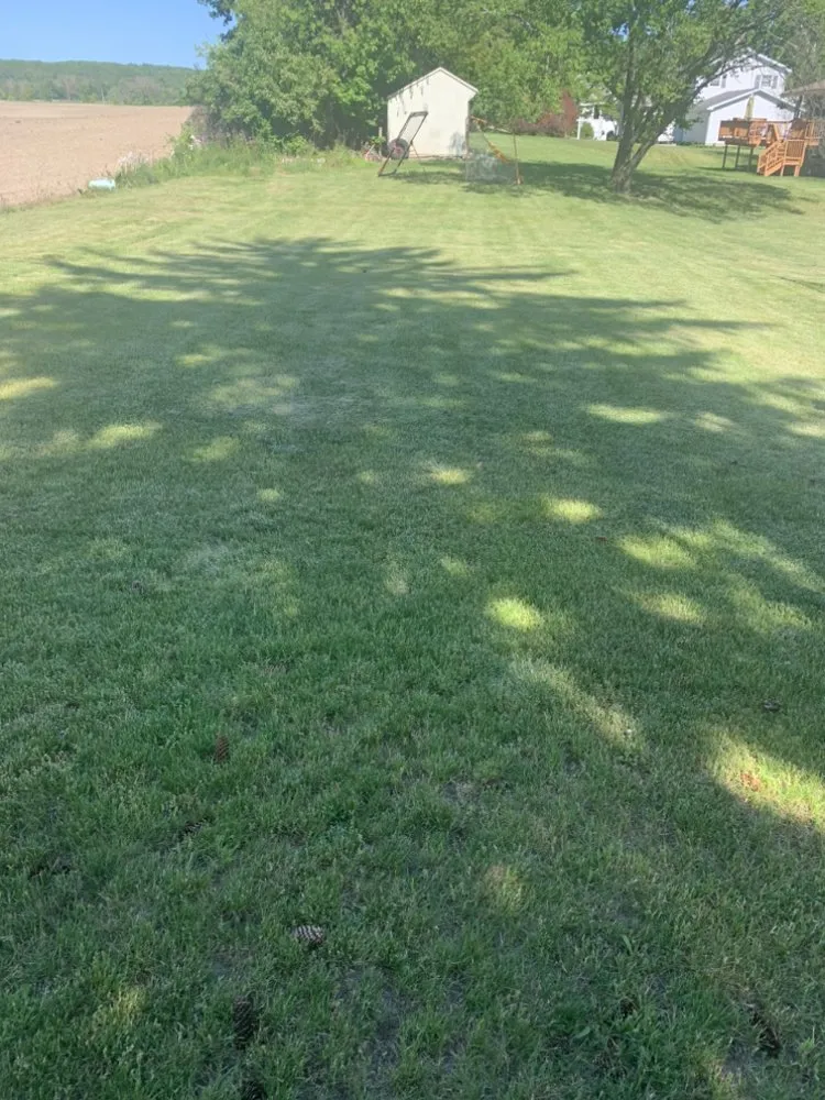 Reliable lawn mowing service in Horseheads, NY - Ethain And Rileys Lawn Care