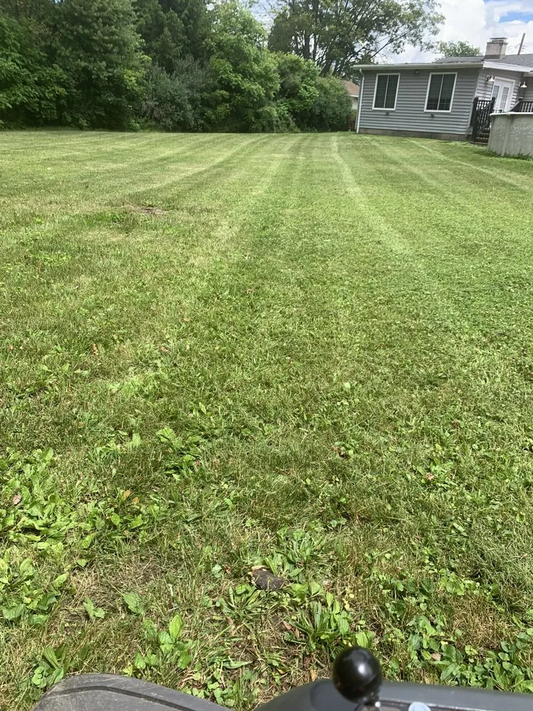 Affordable yard maintenance in Horseheads, NY - Ethain And Rileys Lawn Care