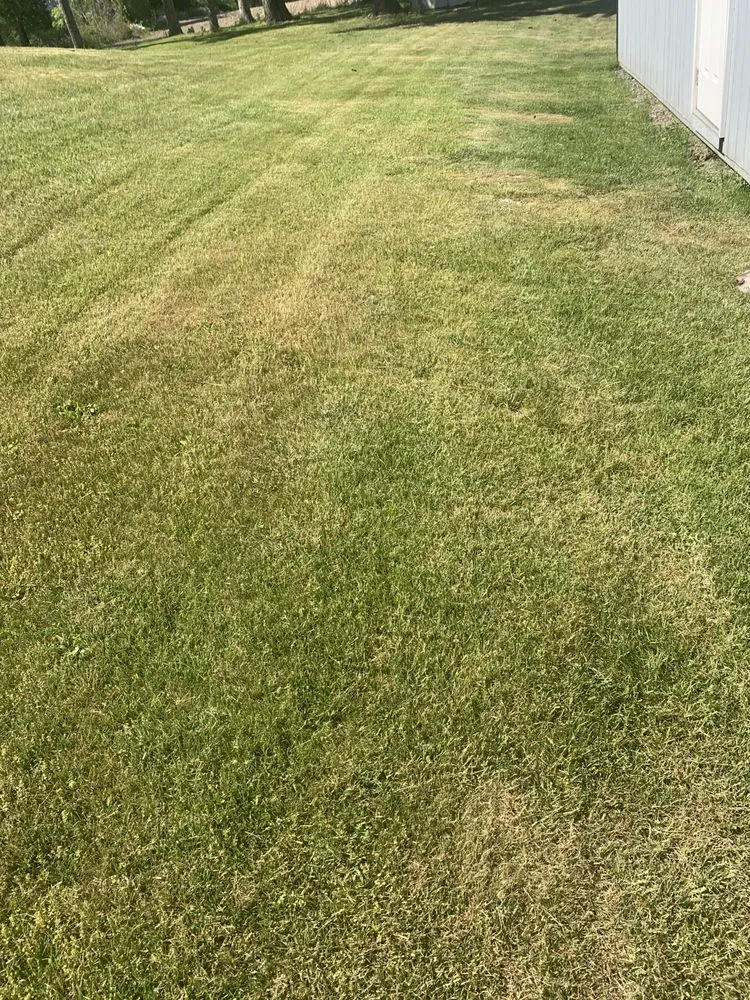 Trusted yard maintenance for beautiful yards across Horseheads, NY - Ethain And Rileys Lawn Care