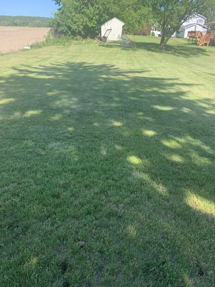 Local residential landscaping in Horseheads, NY - Ethain And Rileys Lawn Care