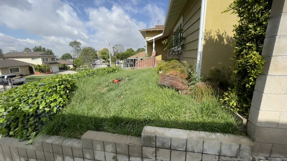 Professional yard maintenance in Baldwin Park, CA - Ethan Elaine Landscaping & maintenance