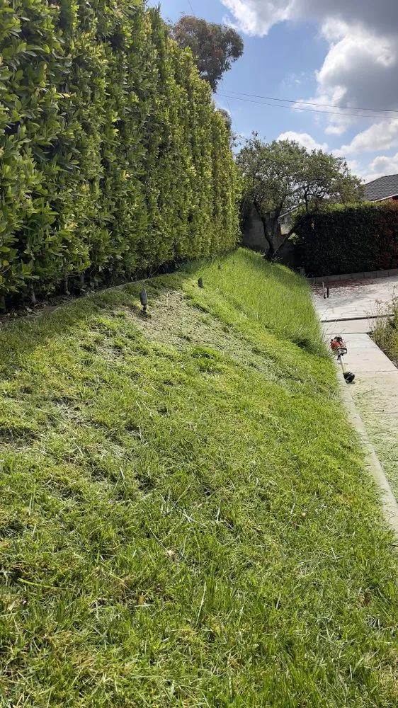 Professional yard cleanup service experts serving Baldwin Park, CA - Ethan Elaine Landscaping & maintenance