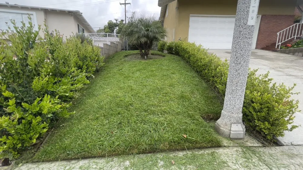 Local yard maintenance in Baldwin Park, CA by Ethan Elaine Landscaping & maintenance