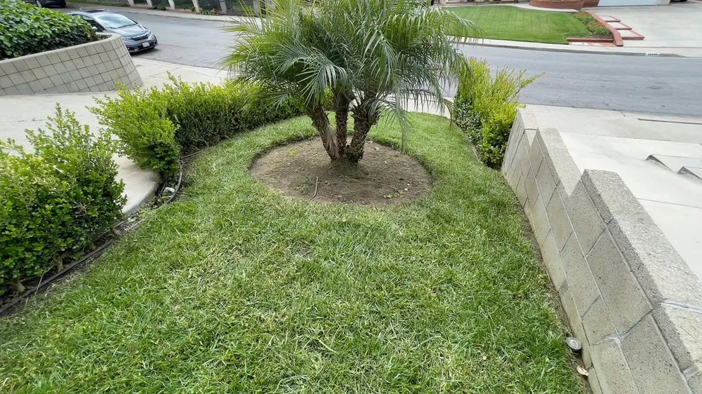 Local landscape installation for homes across Baldwin Park, CA - Ethan Elaine Landscaping & maintenance