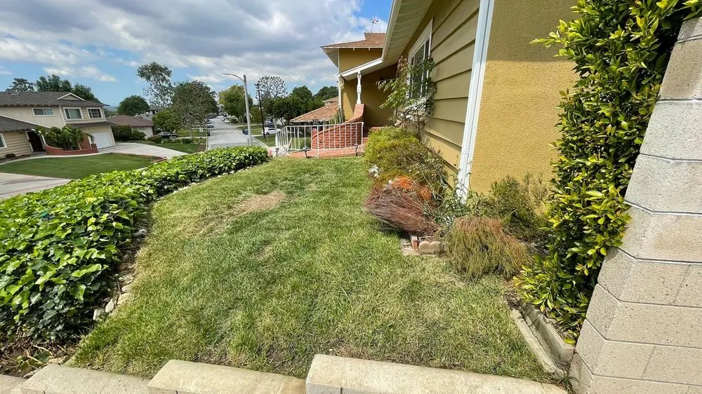 Reliable yard maintenance near you across Baldwin Park, CA - Ethan Elaine Landscaping & maintenance