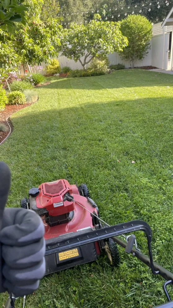 Expert outdoor landscaping experts serving Baldwin Park, CA - Ethan Elaine Landscaping & maintenance